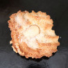 Pasta di mandorla bianca