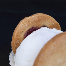 Panna Cotta